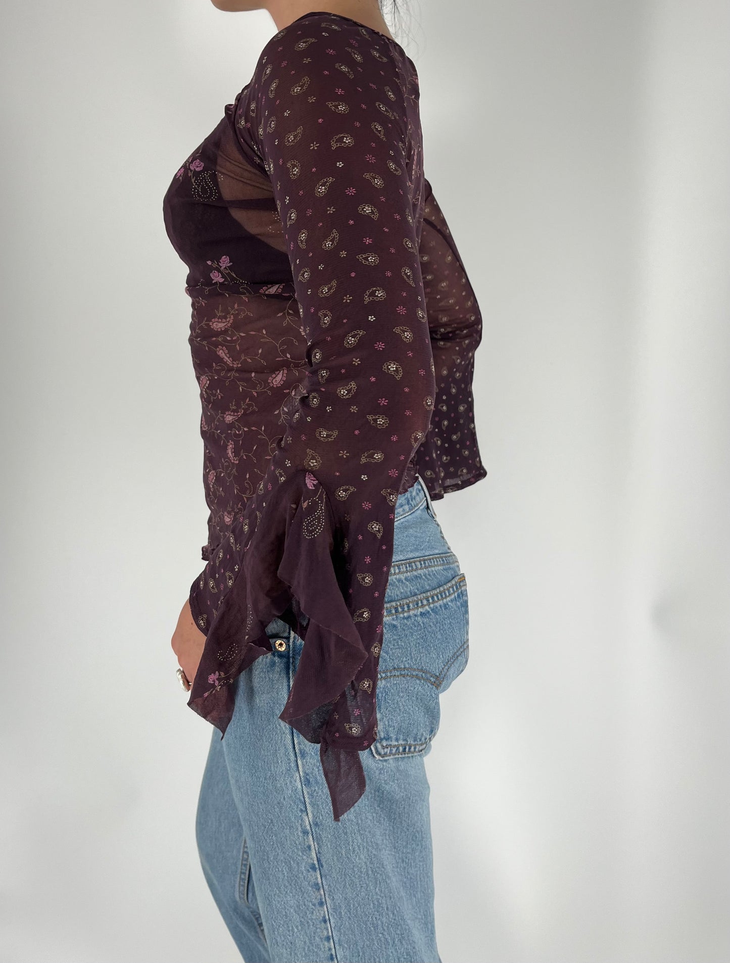 Mesh Paisley Print Top With Long Ruffle Sleeves