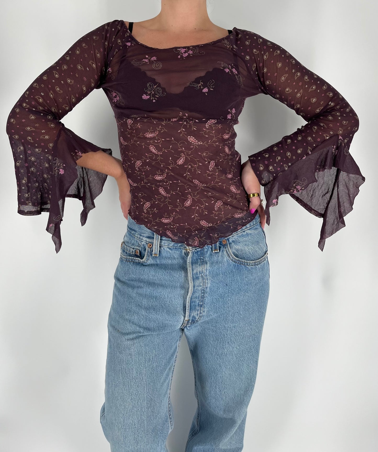 Mesh Paisley Print Top With Long Ruffle Sleeves