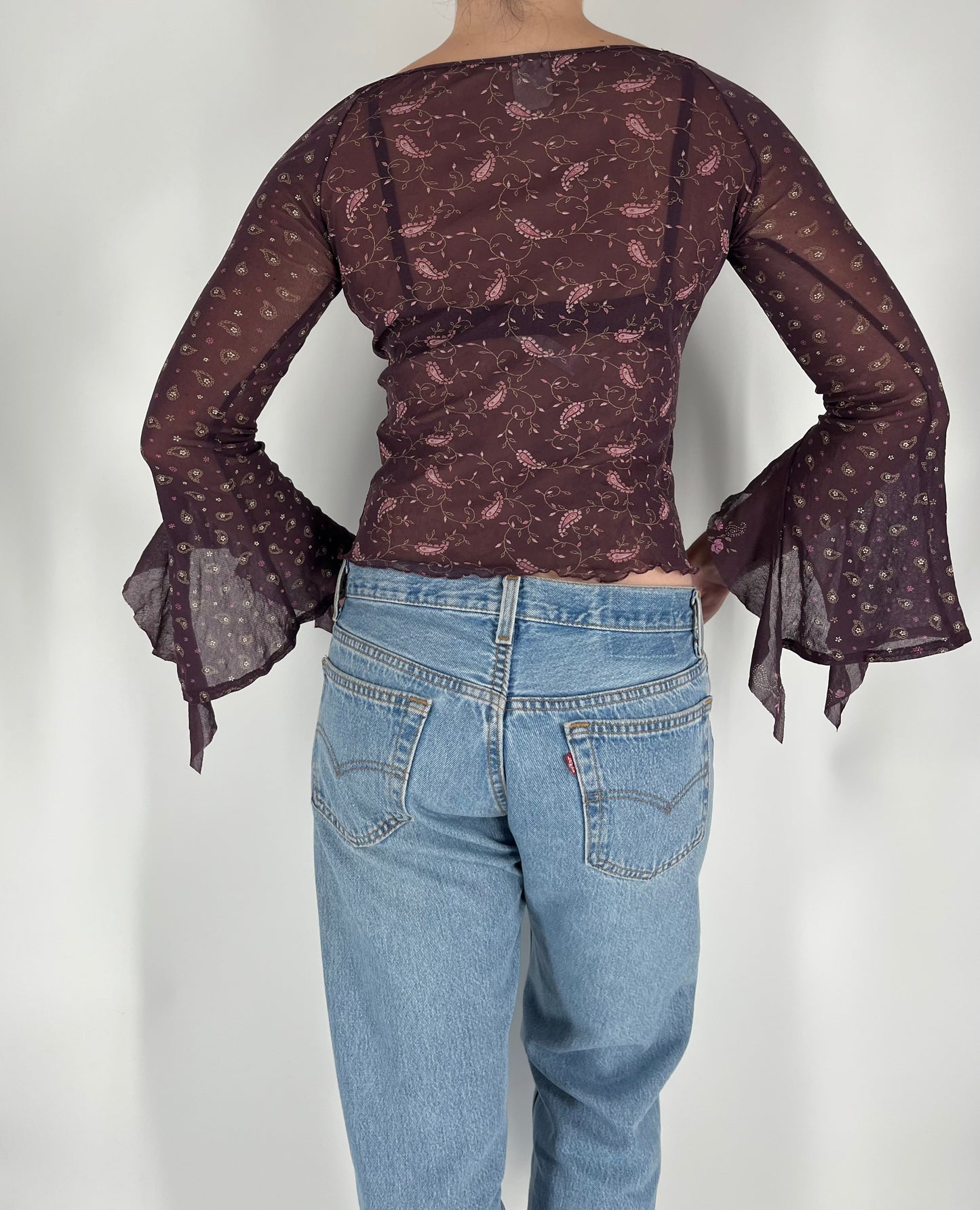 Mesh Paisley Print Top With Long Ruffle Sleeves