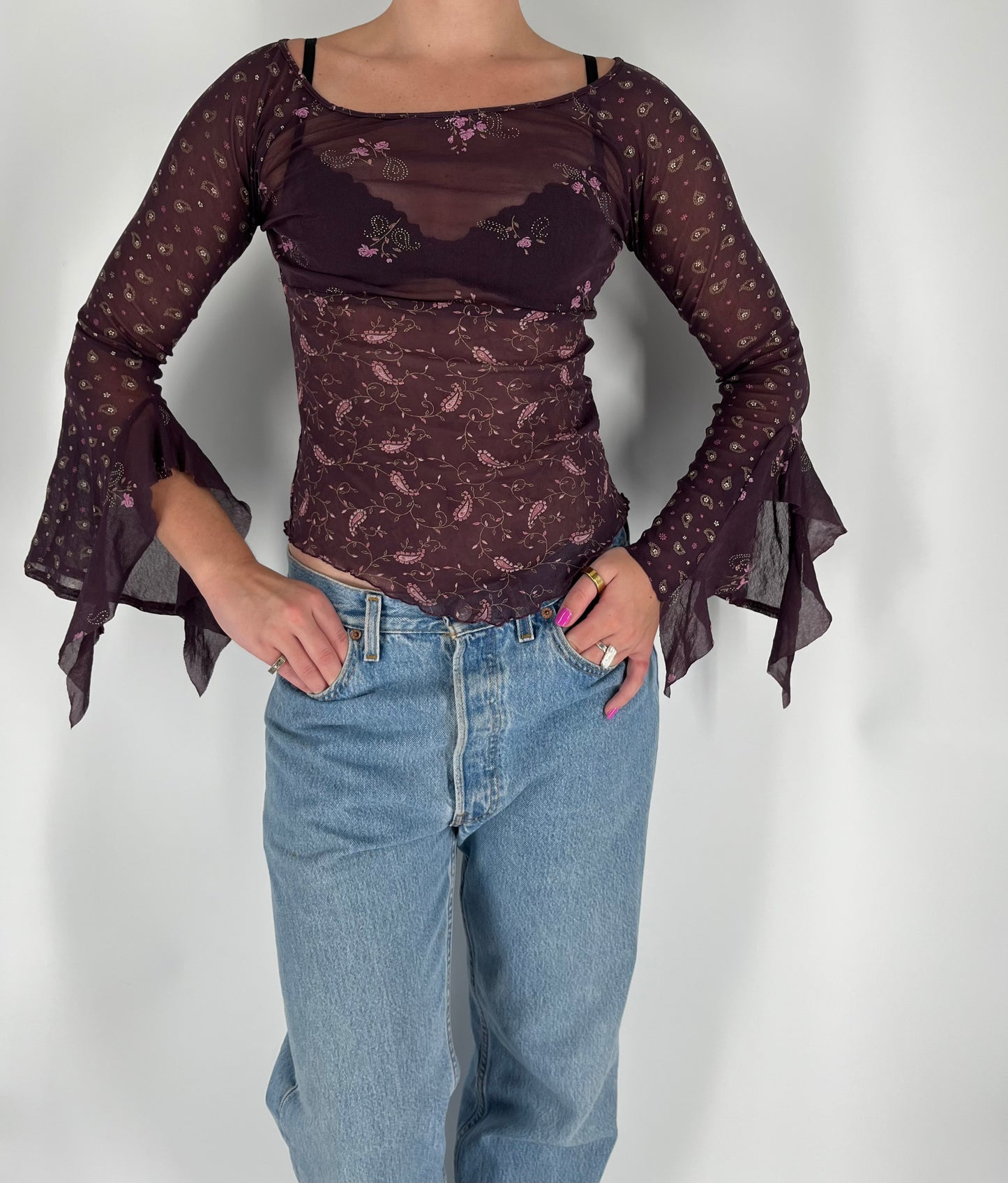 Mesh Paisley Print Top With Long Ruffle Sleeves